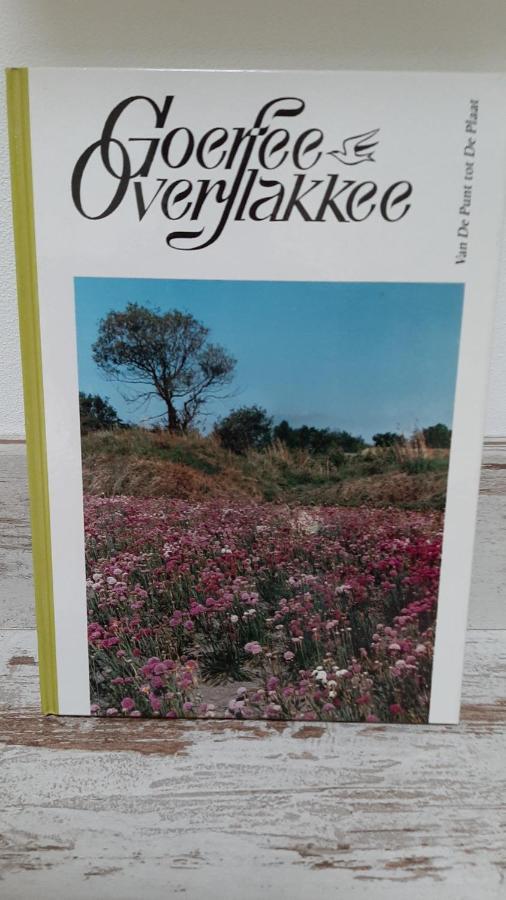 Gastenverblijf Nummer 1 Sommelsdijk エクステリア 写真